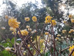 -徐家汇源景区-衡山公园