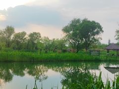 -西溪国家湿地公园