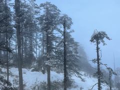 -瓦屋山景区