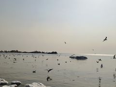 -老虎石海上公园