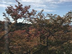 -有栖山 清光院 清水寺