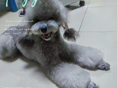 -奈斯宠物医院·核磁CT·异宠专科·内镜(中南店)