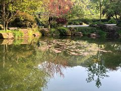 -中国茶叶博物馆(双峰馆区)