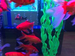 -三旗百汇商品城