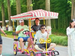 -黄海国家森林公园