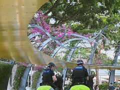 -布里斯班南岸公园