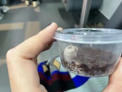 -酷以爬仙阁实体爬宠店·守宫·蜥蜴·专业繁育