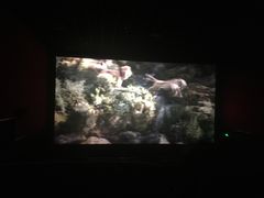 -武汉华夏国际影城(鲁广店)