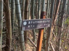 -莫干山风景区