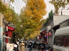 -玫瑰红烤羊排(北新桥三条店)