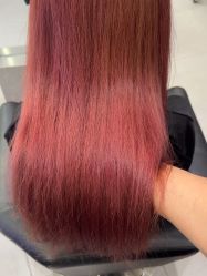 -东方麒麟·潘多拉SALON