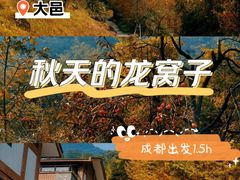 -龙窝子
