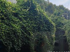 -千滋百味·醉江澜花园餐厅(街道口店)