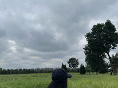 -汉长安城未央宫国家考古遗址公园