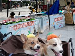 -IPARK购物中心