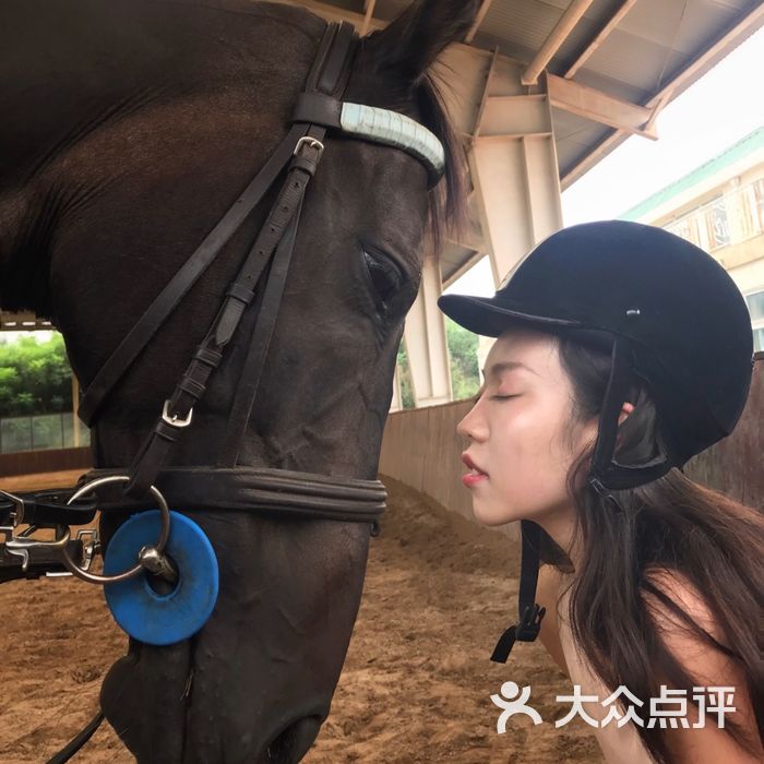 华彬马术俱乐部