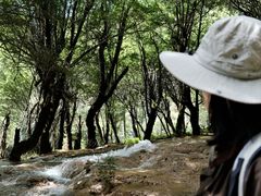 -松州古城