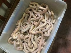 -大勇羊棒骨·烧烤(经六路店)