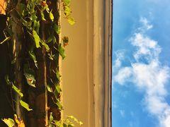 -西关84·History·Art·Cafe