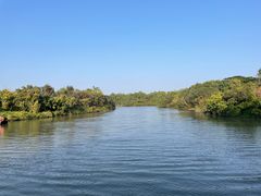 -大湾区中央湿地公园