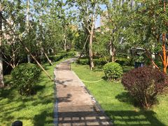 -首都医科大学附属北京潞河医院
