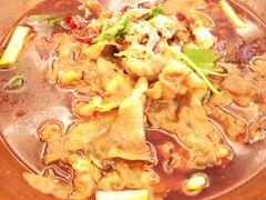 -芜湖白金汉爵大酒店