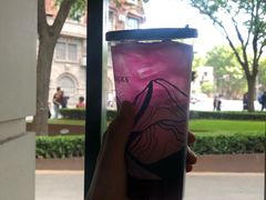 石榴仲夏梦-星巴克(武康路店)