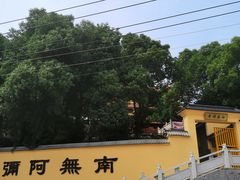 -吼山森林公园