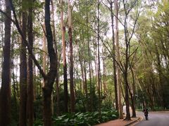 -南国桃园旅游度假区