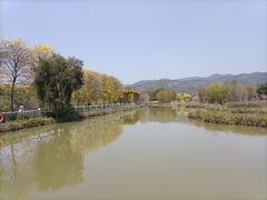 -天适樱花悠乐园