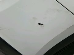 -蜂鸟快修喷漆钣喷汽修旗舰工厂(军工路店)