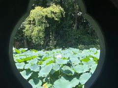 -三苏祠