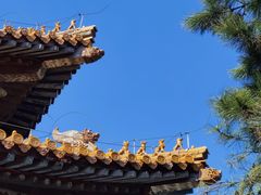 -沈阳市东陵公园