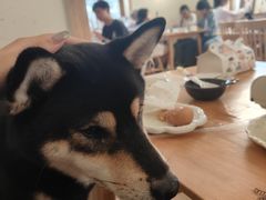 -柴の食堂·日式家庭料理·熊之肆(大学路店)