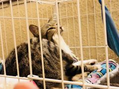 -逃脱反斗城沉浸剧情密室(北京路店)