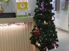 -阳光游泳培训(北苑店)