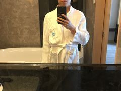 -河源万绿湖美思威尔顿酒店