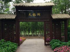 -艾溪湖湿地公园