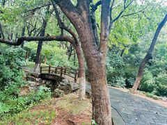 -虞山风景区