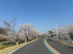 -羊山湖公园