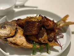 茉莉花熏鲳鱼-宝丽轩中餐厅BAOLIXUAN