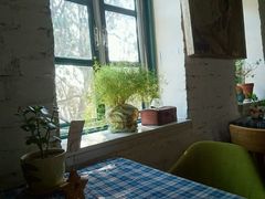 -不舍昼夜咖啡馆