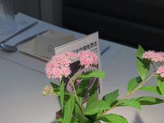 -春树下·树屋花房西餐厅(罍街AS1980店)