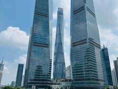 -陆家嘴空中步行连廊