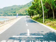 -杨梅坑