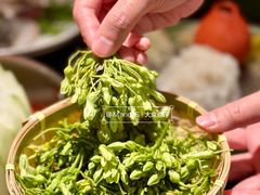 夜香兰花-得意咚瓜·顺德鱼生·冬瓜盅火锅