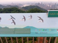 -大金鹰园