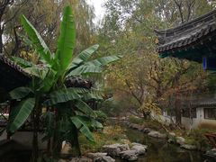 -百脉泉景区