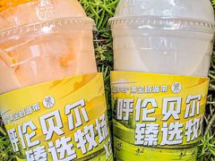 -茉酸奶(春熙路店)