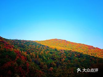 百花山是北京西部一个老牌的旅游景点